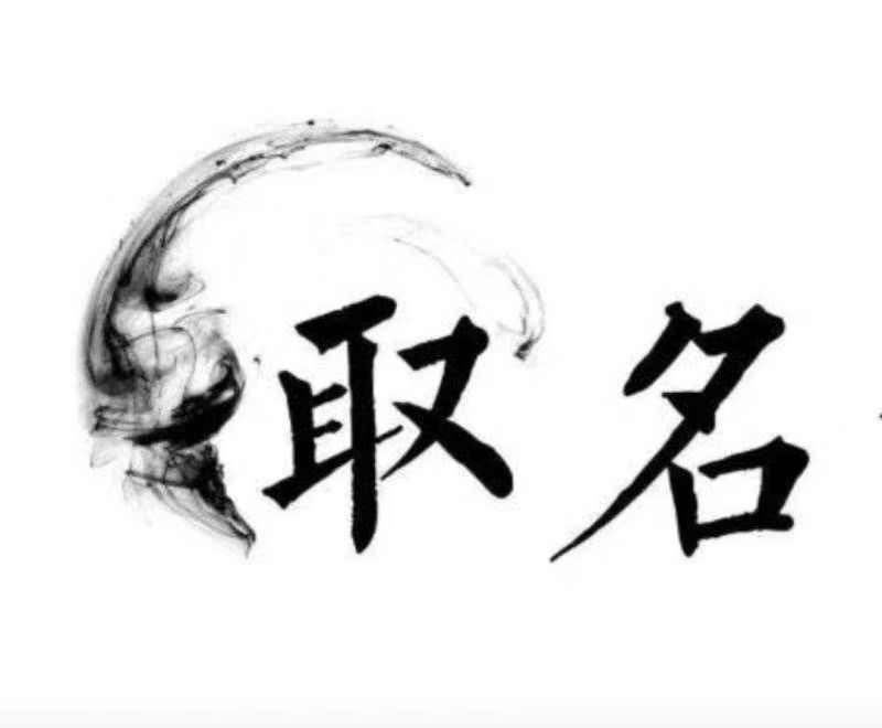  岚县宝宝取名 大师一对一人工起名